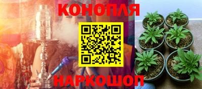 трава Кандалакша